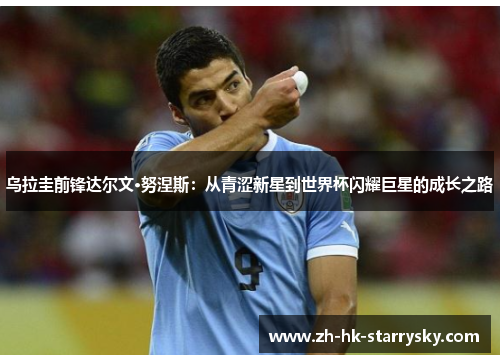 乌拉圭前锋达尔文·努涅斯：从青涩新星到世界杯闪耀巨星的成长之路