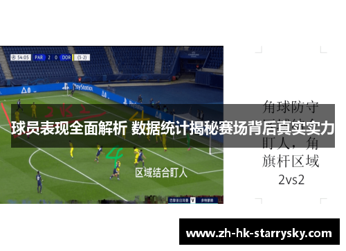 球员表现全面解析 数据统计揭秘赛场背后真实实力