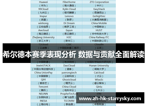 希尔德本赛季表现分析 数据与贡献全面解读