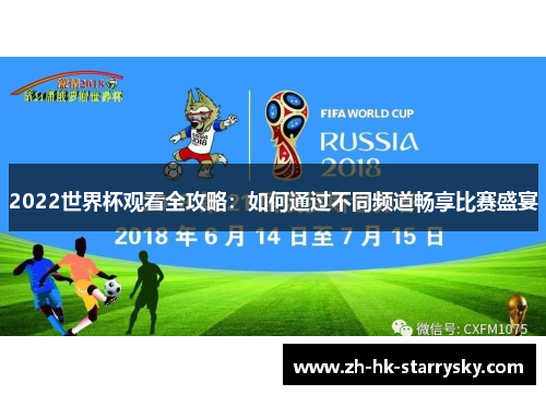 2022世界杯观看全攻略：如何通过不同频道畅享比赛盛宴